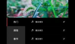 制作短视频的步骤,从构思到发布，轻松掌握每一个步骤